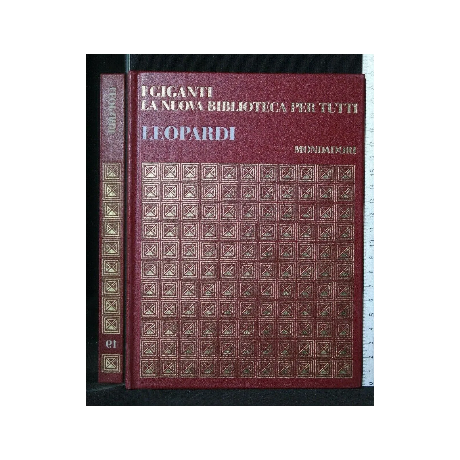 I GIGANTI LA NUOVA BIBLIOTECA PER TUTTI LEOPARDI