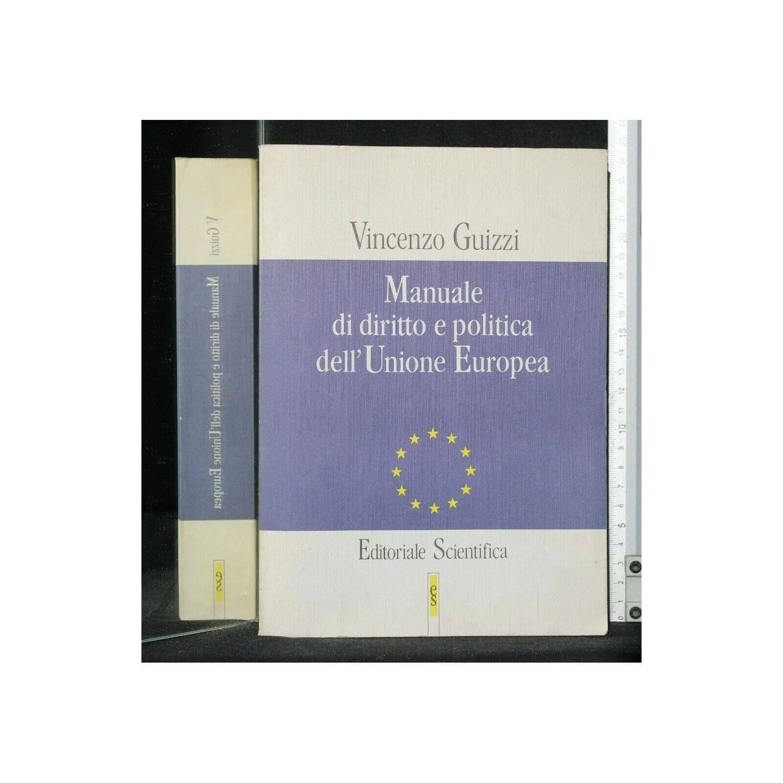 MANUALE DI DIRITTO E POLITICA DELL'UNIONE EUROPEA