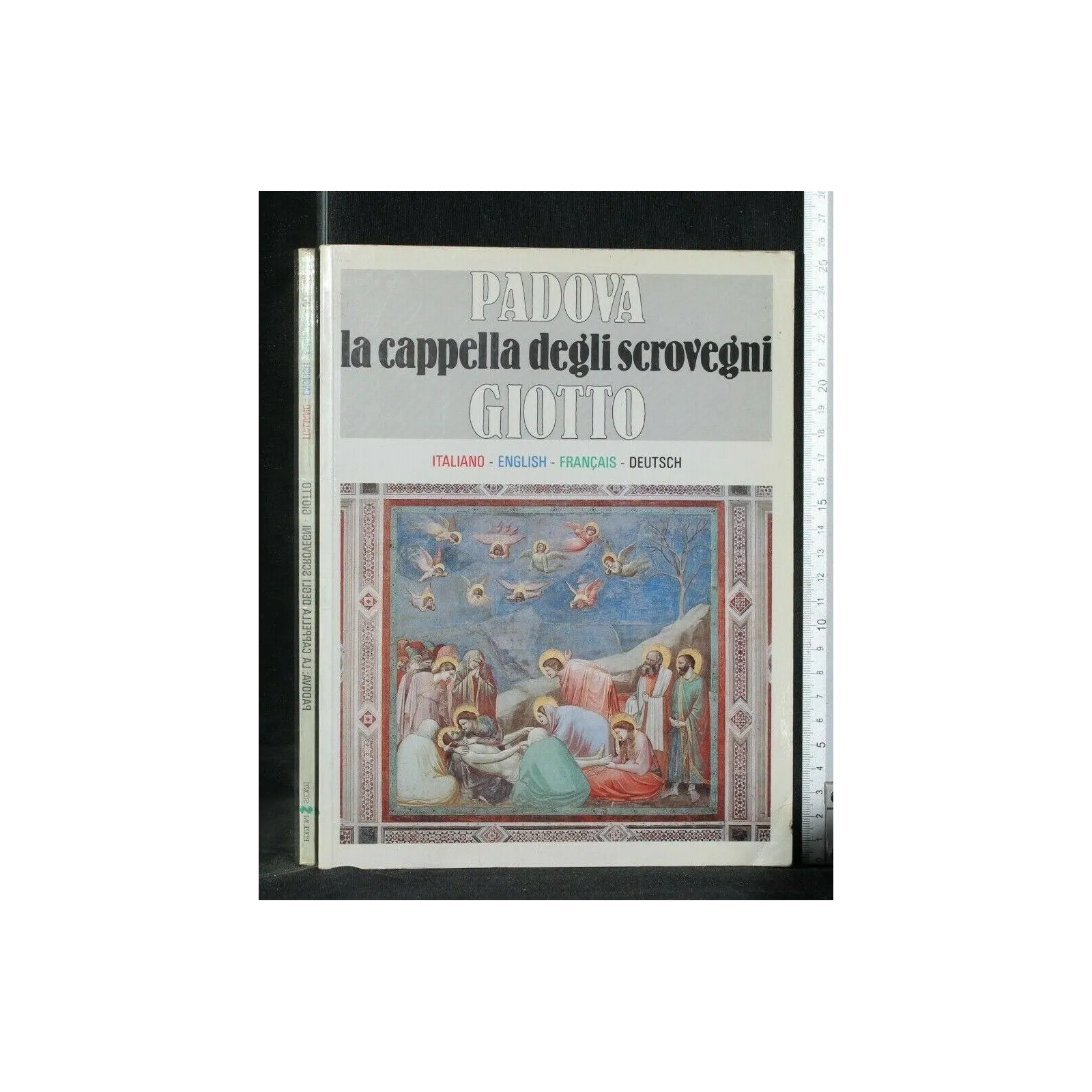 PADOVA LA CAPPELLA DEGLI SCRIOVEGNI GIOTTO