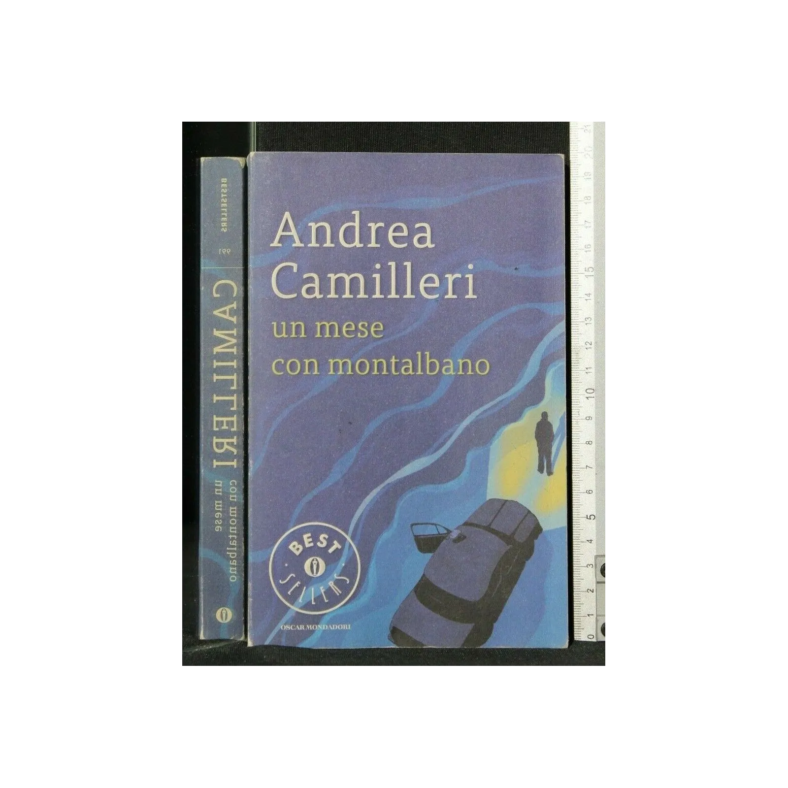 UN MESE CON MONTALBANO
