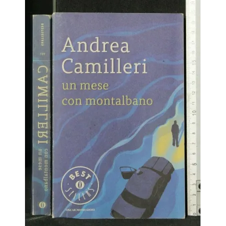 UN MESE CON MONTALBANO
