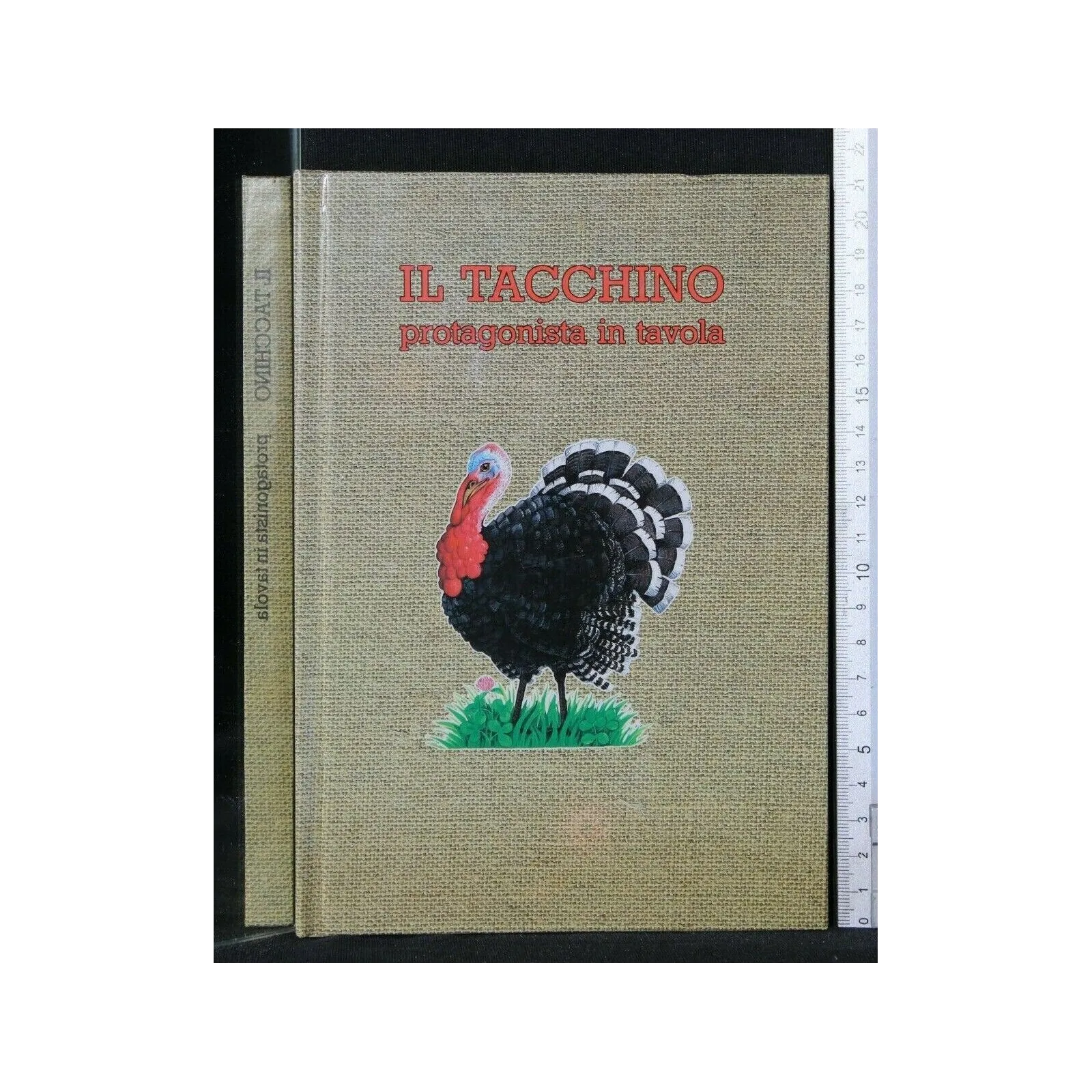 IL TACCHINO PROTAGONISTA IN TAVOLA