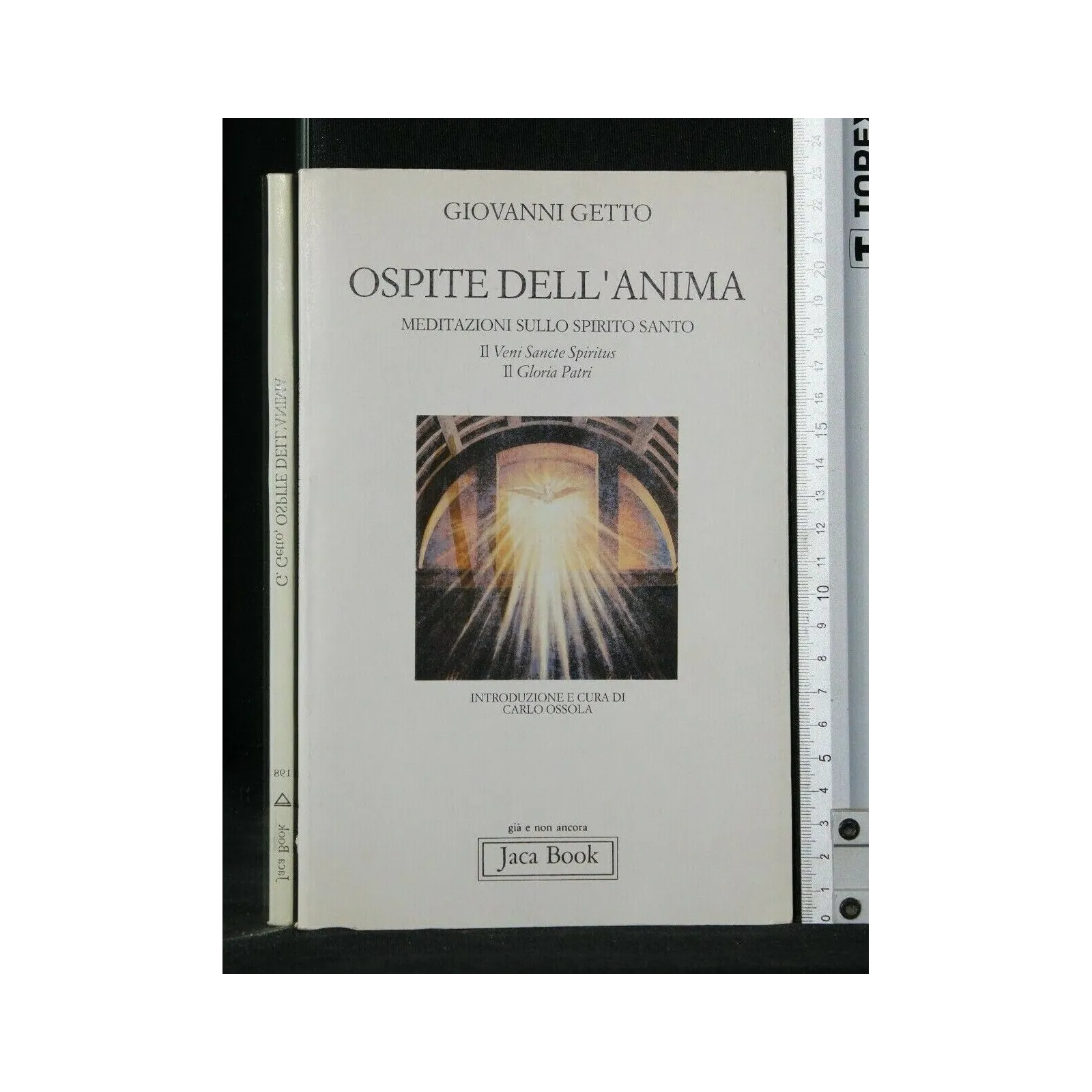 OSPITE DELL'ANIMA MEDITAZIONI SULLO SPIRITO SANTO