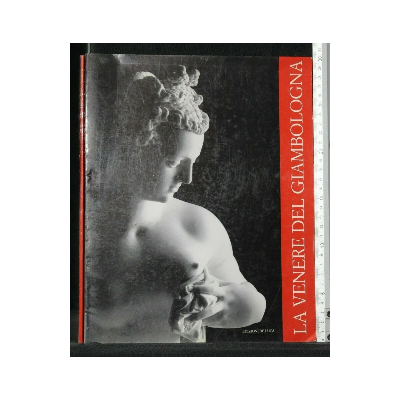 LA VENERE DEL GIAMBOLOGNA