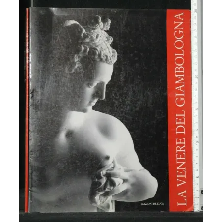 LA VENERE DEL GIAMBOLOGNA