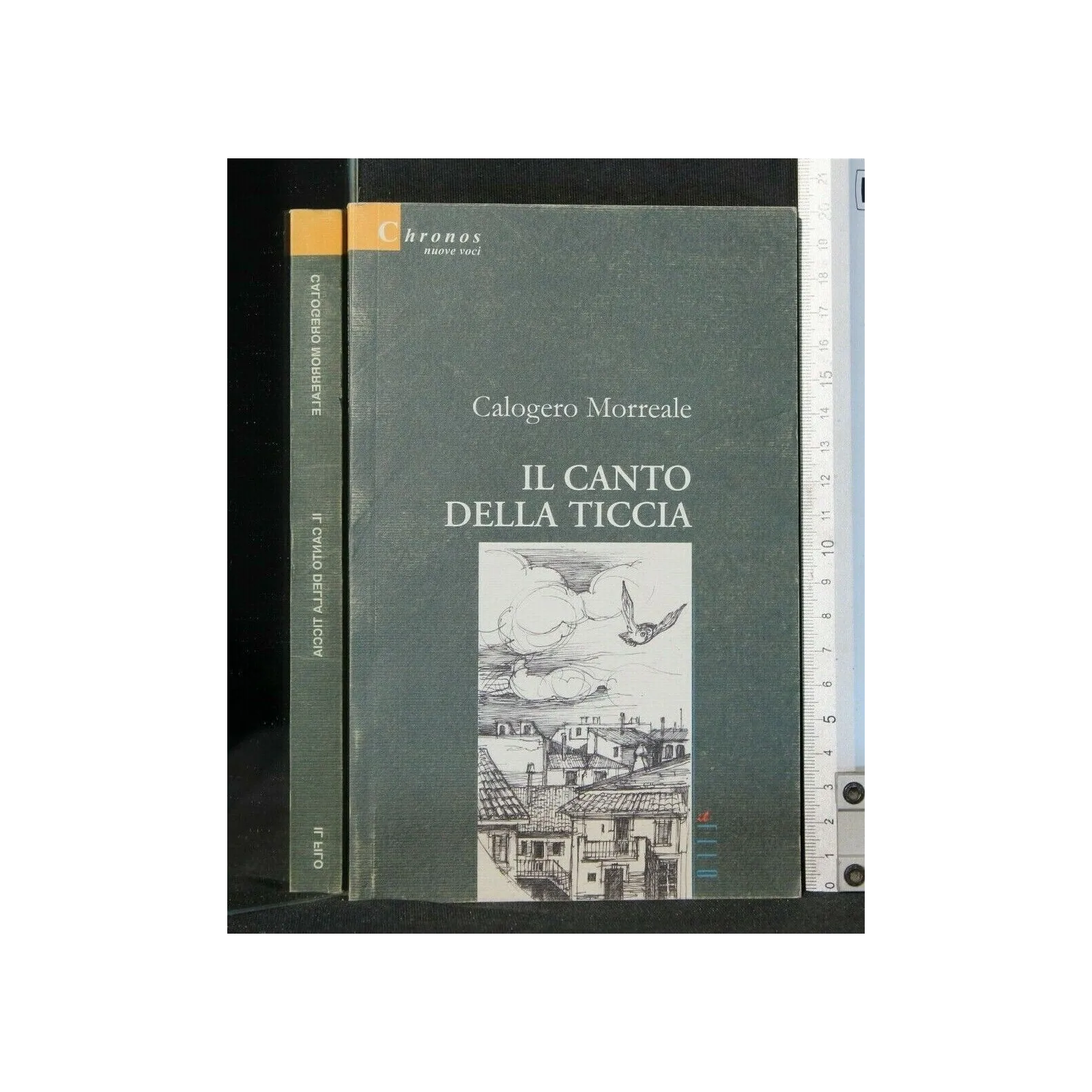 IL CANTO DELLA TICCIA