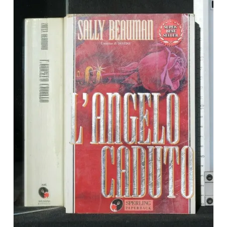 L'ANGELO CADUTO