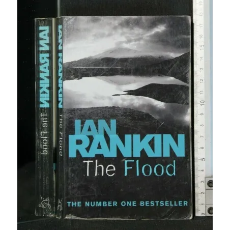 THE FLOOD