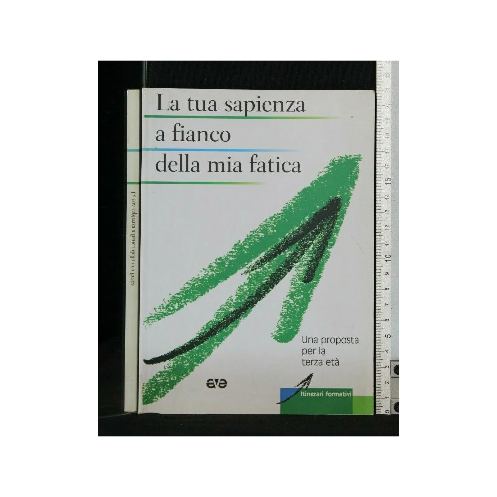 LA TUA SAPIENZA A FIANCO DELLA MIA FATICA _x000D_