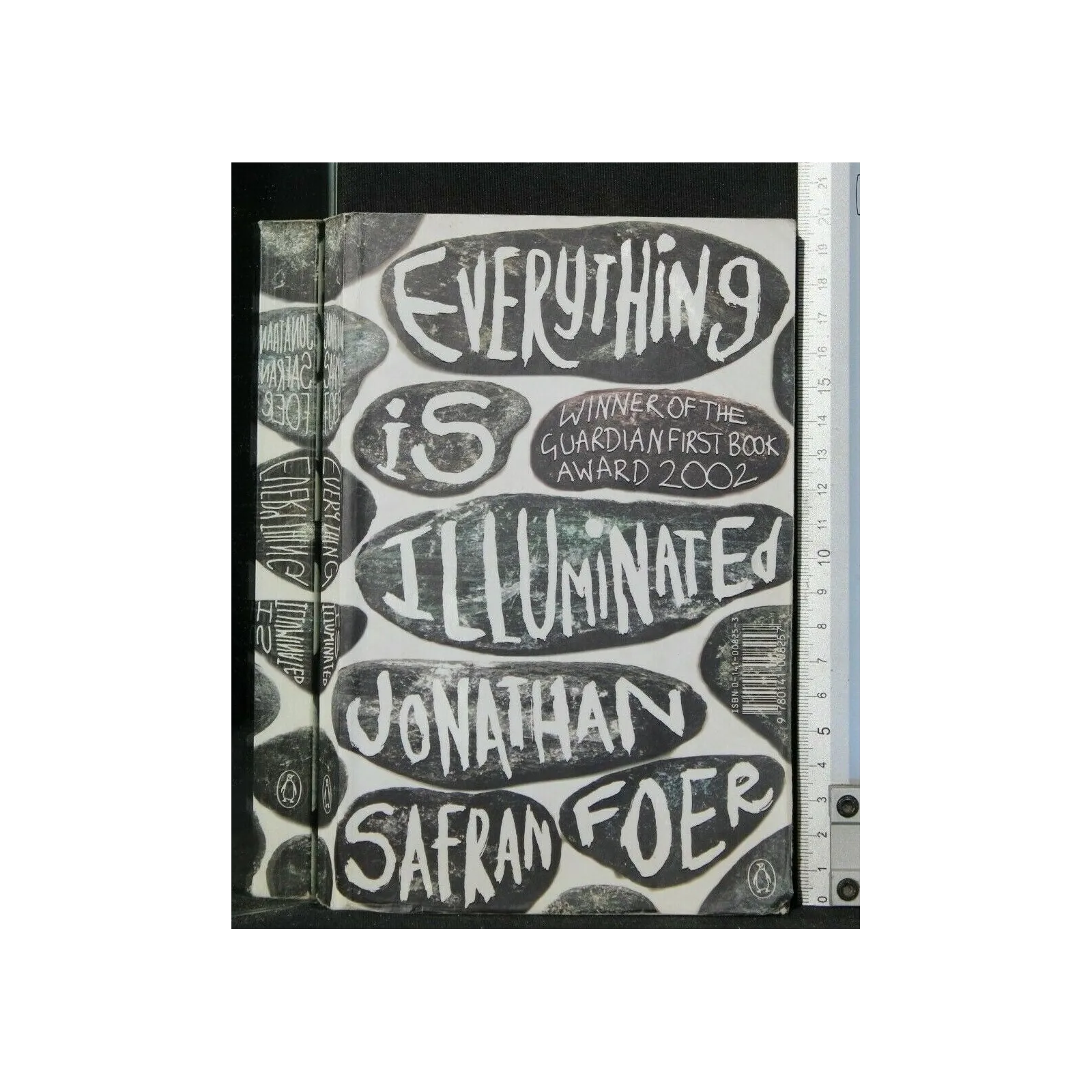 EVERYTHING IS ILLUMINATED