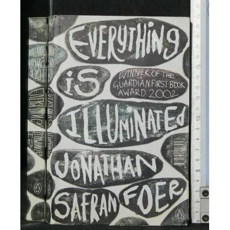 EVERYTHING IS ILLUMINATED