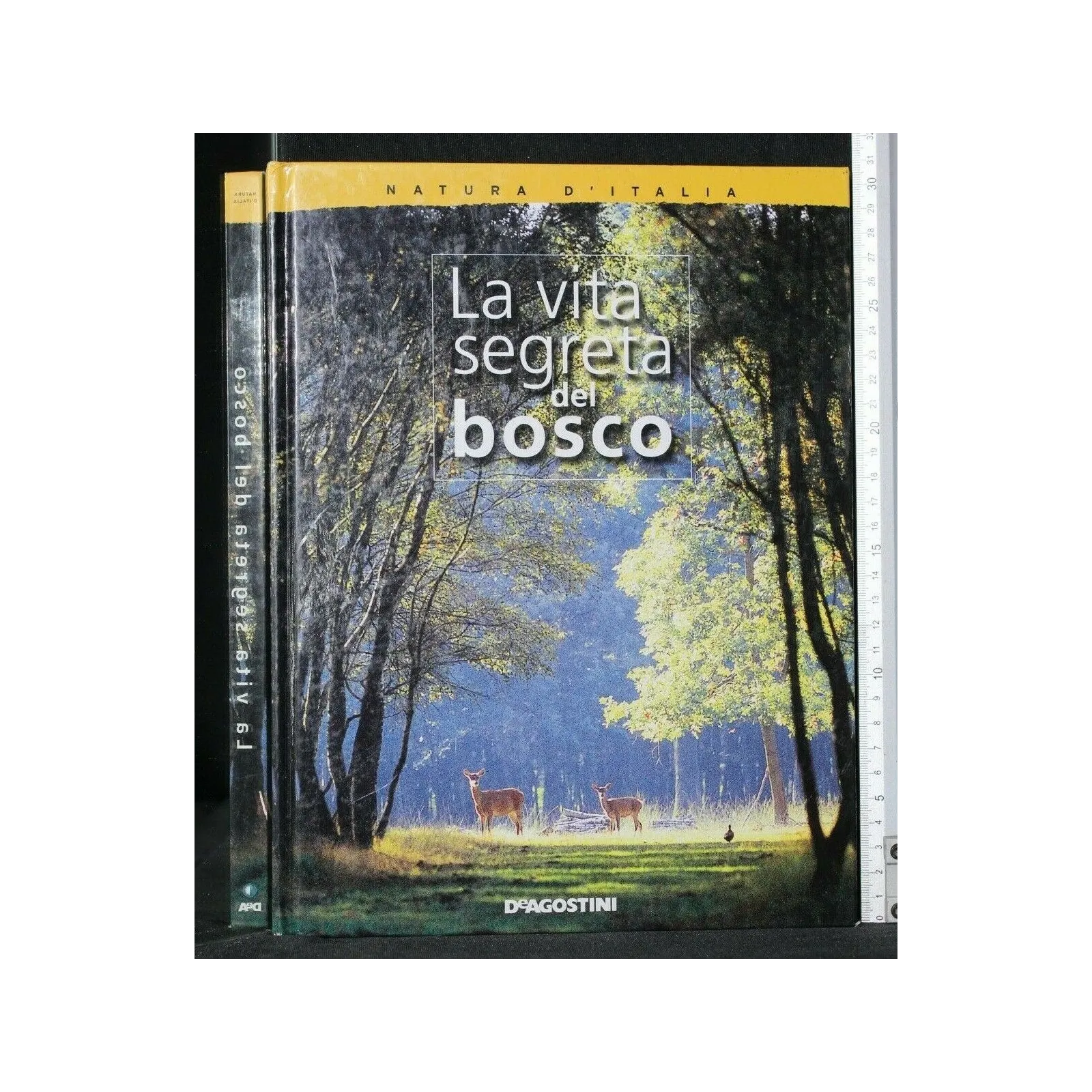 LA VITA SEGRETA DEL BOSCO