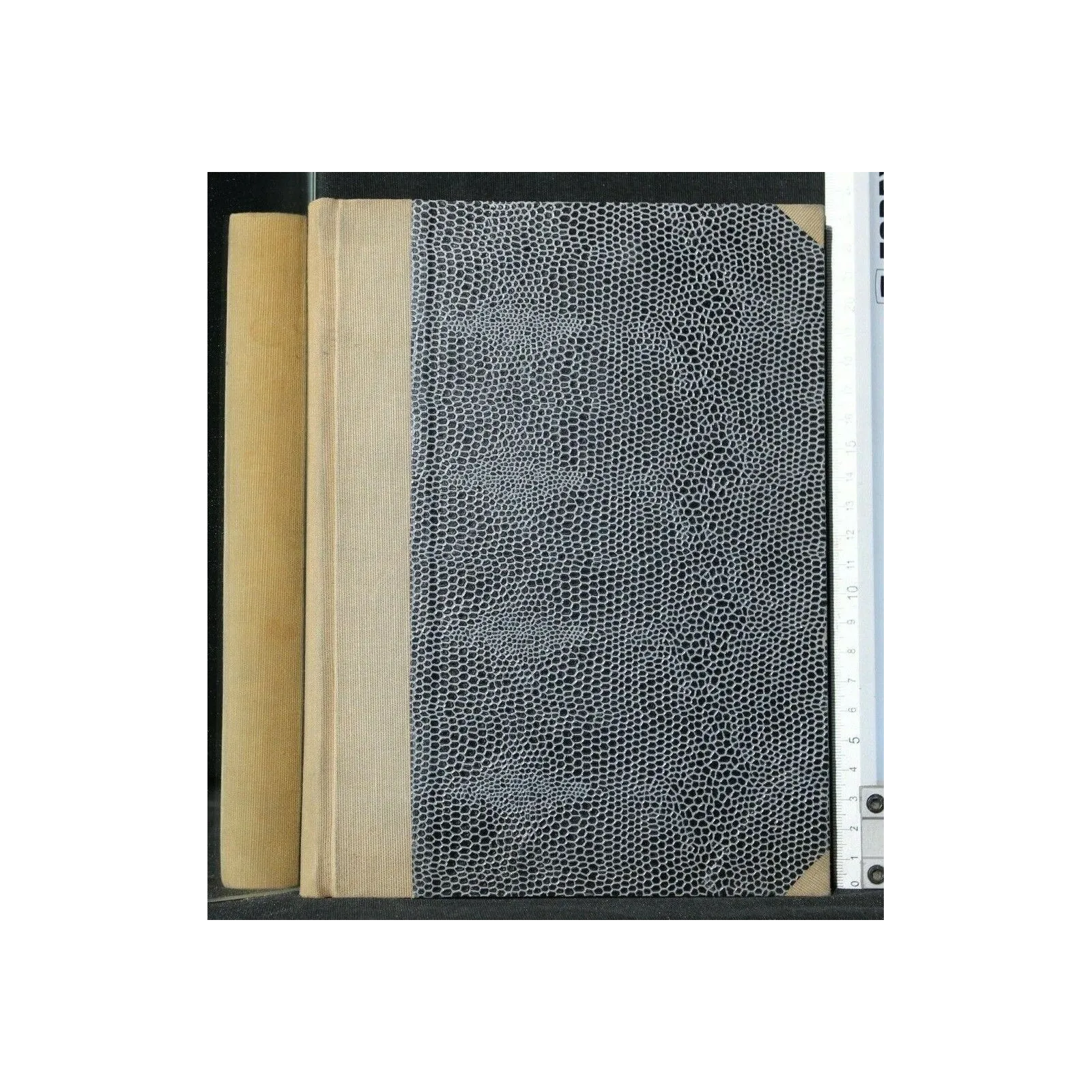 ESERCIZI DI MECCANICA RAZIONALE VOL. 1