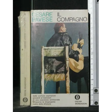 IL COMPAGNO