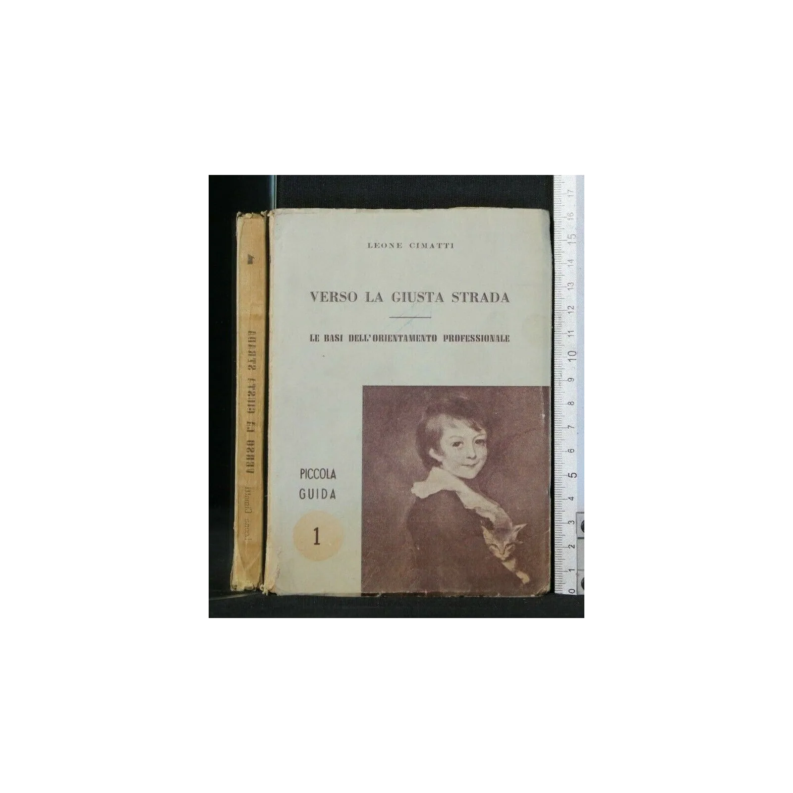 VERSO LA GIUSTA STRADA LE BASI DELL'ORIENTAMENTO PROFESSIONALE