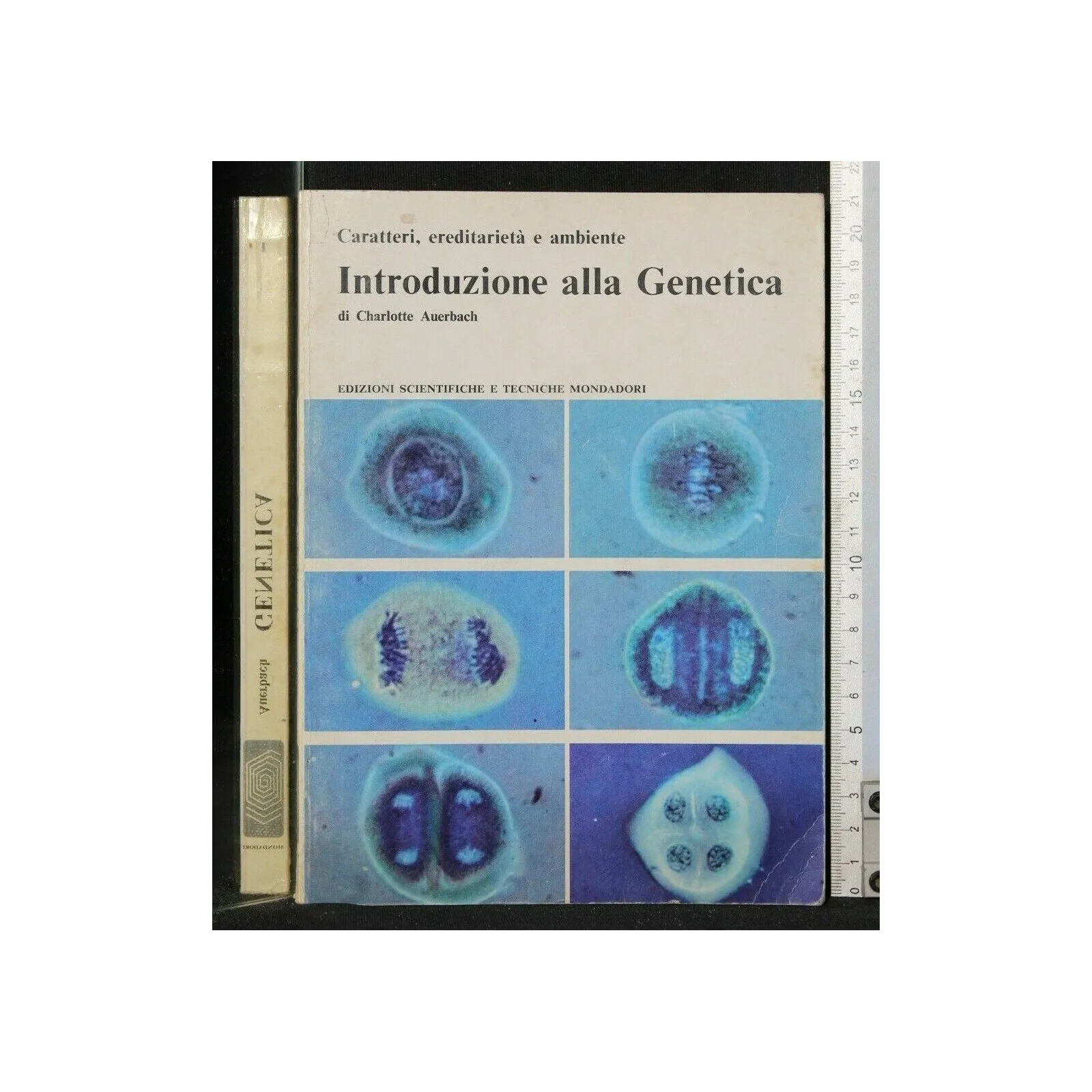 INTRODUZIONE ALLA GENETICA