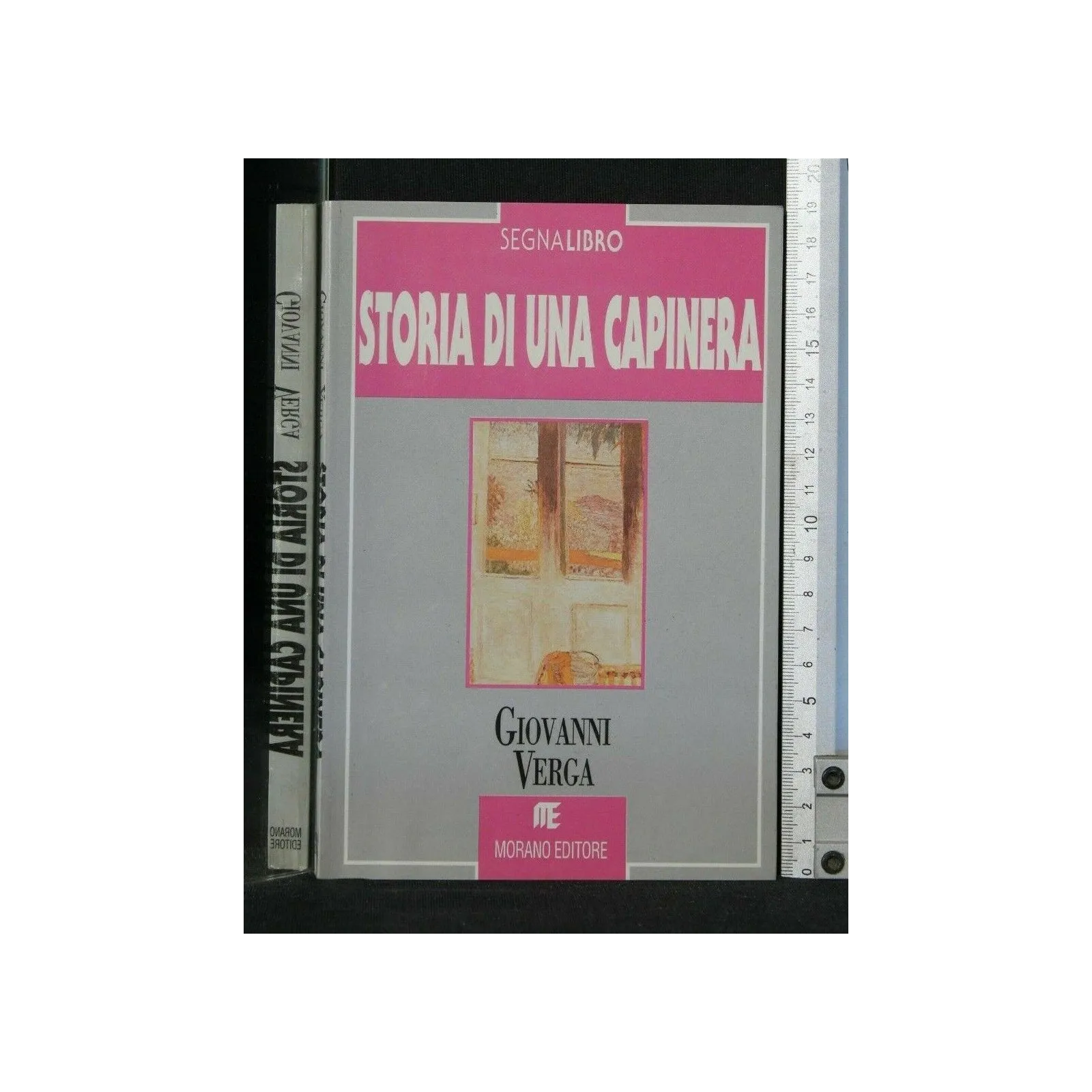 STORIA DI UNA CAPINERA