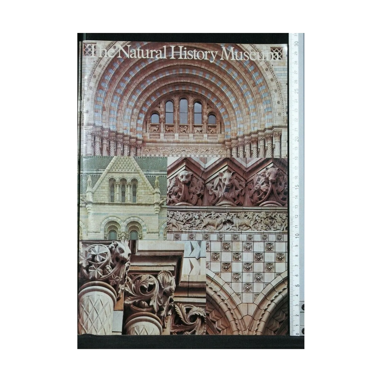 THE NATURAL HISTORY MUSEUM