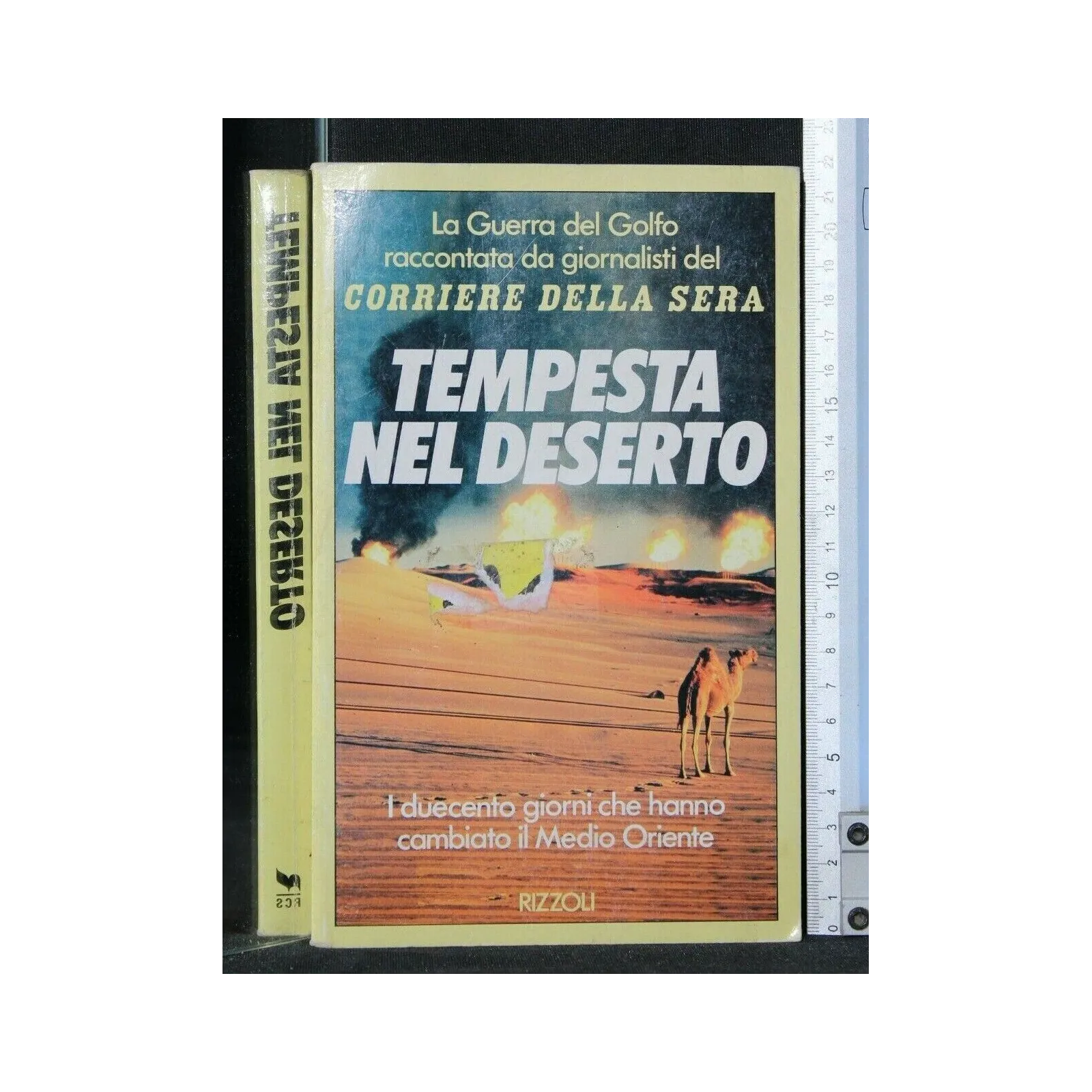TEMPESTA NEL DESERTO