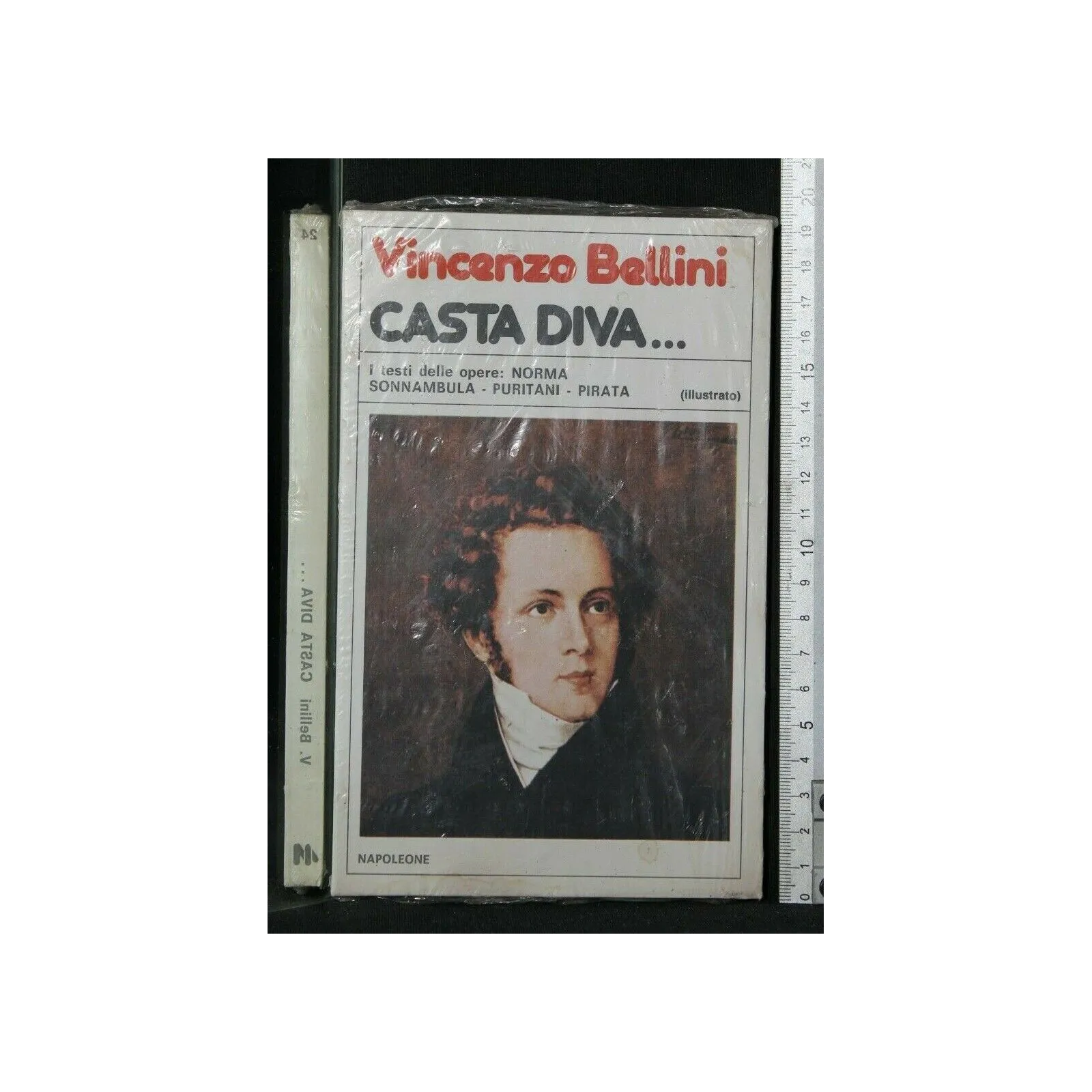 CASTA DIVA...