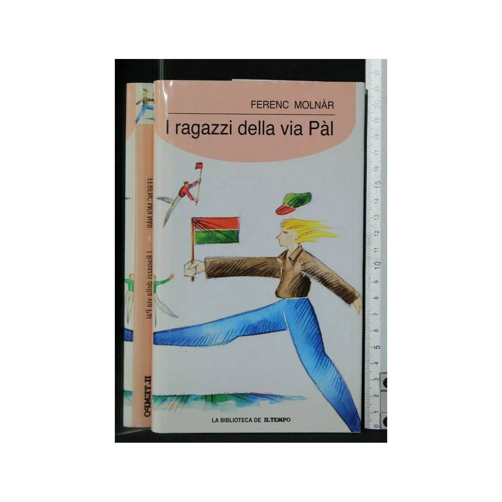 I RAGAZZI DELLA VIA PAL