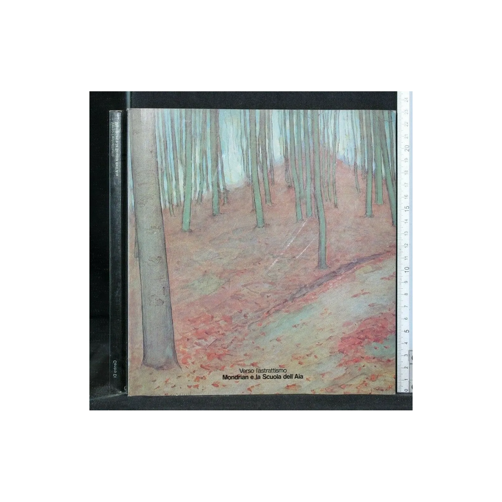 VERSO L'ASTRATTISMO MONDRIAN E LA SCUOLA DELL'AIA