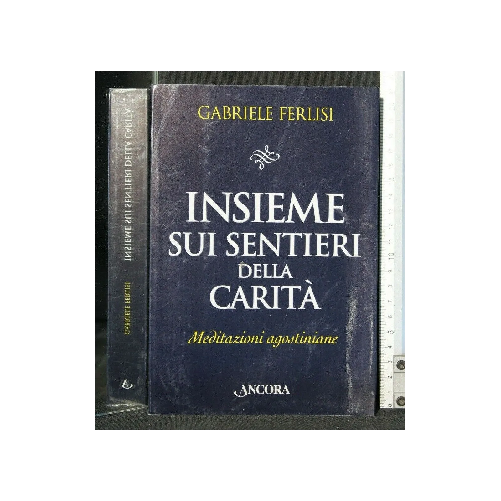 INSIEME SUI SENTIERI DELA CARITA'