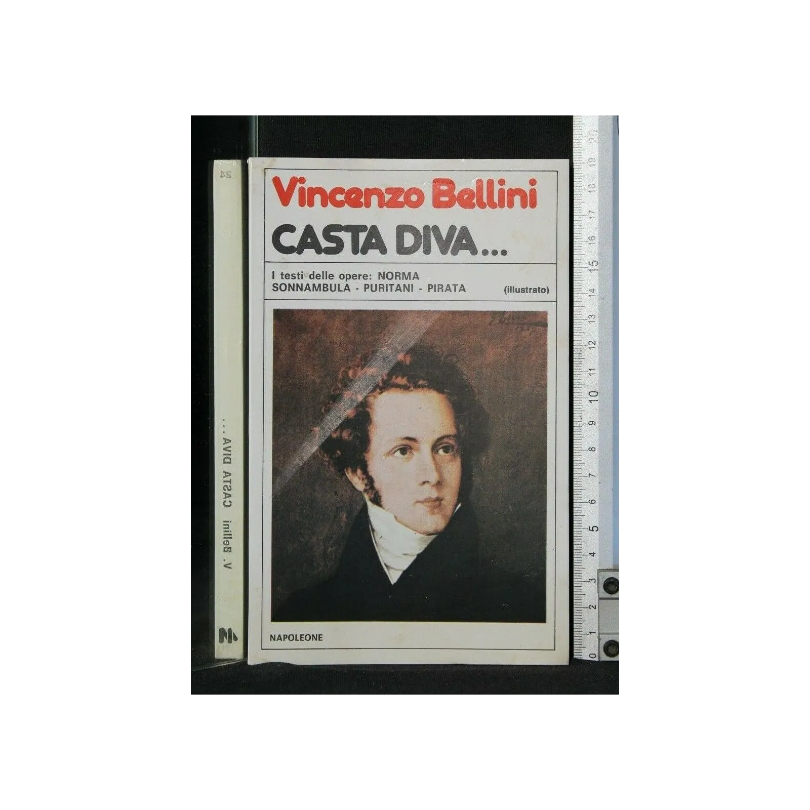 CASTA DIVA...