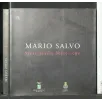 MARIO SALVO STRATIGRAFIE MATERICHE