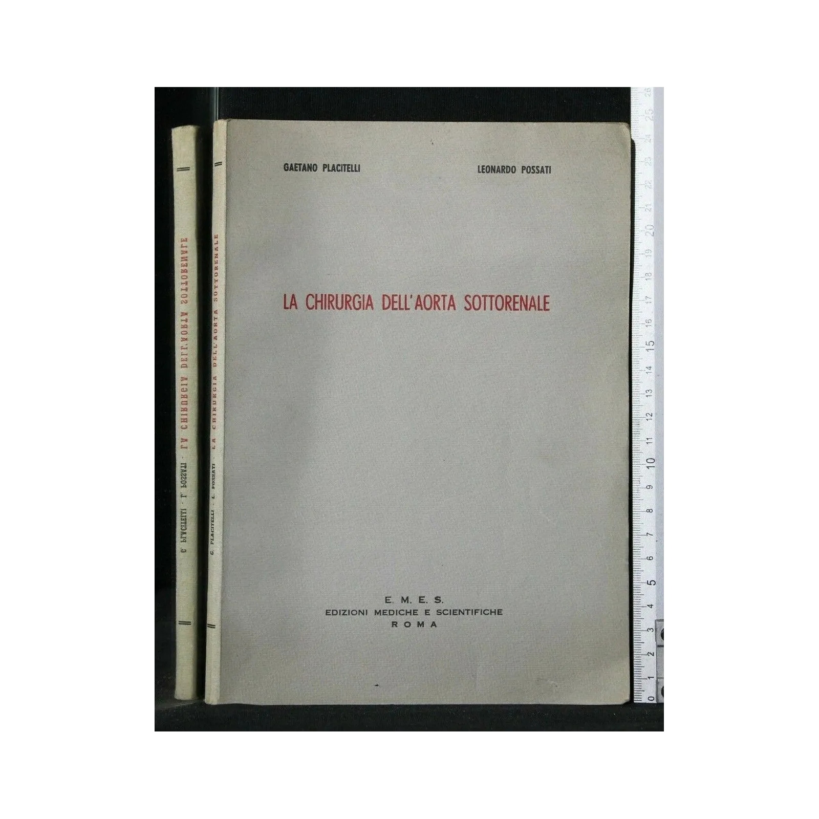 LA CHIRURGIA DELL'AORTA SOTTORENALE