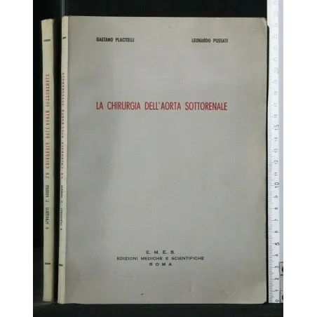 LA CHIRURGIA DELL'AORTA SOTTORENALE