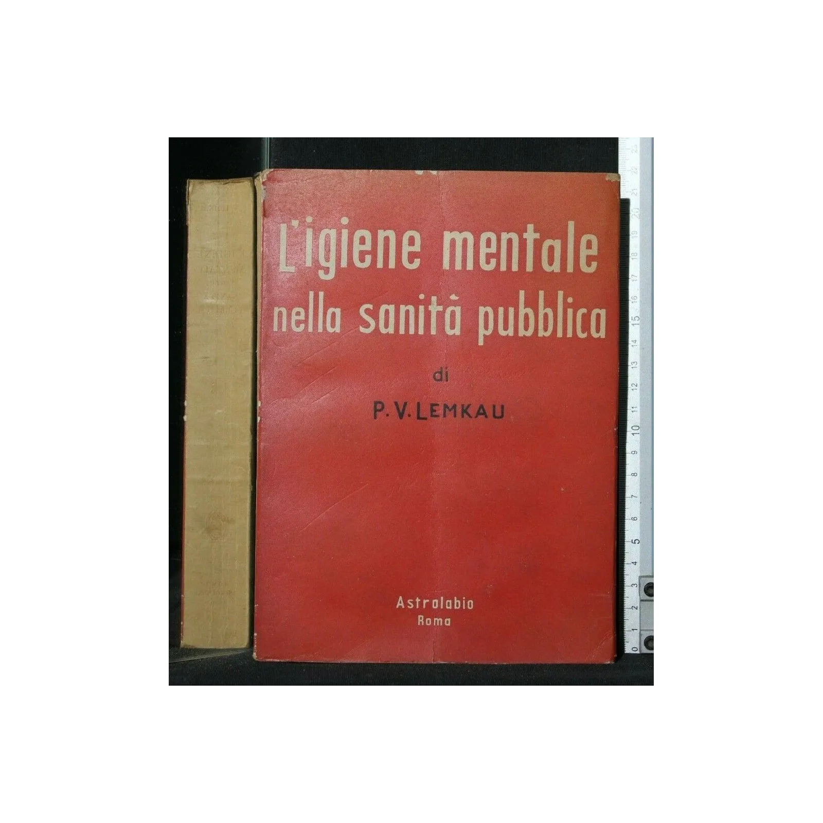 L'IGIENE MENTALE NELLA SANITA' PUBBLICA