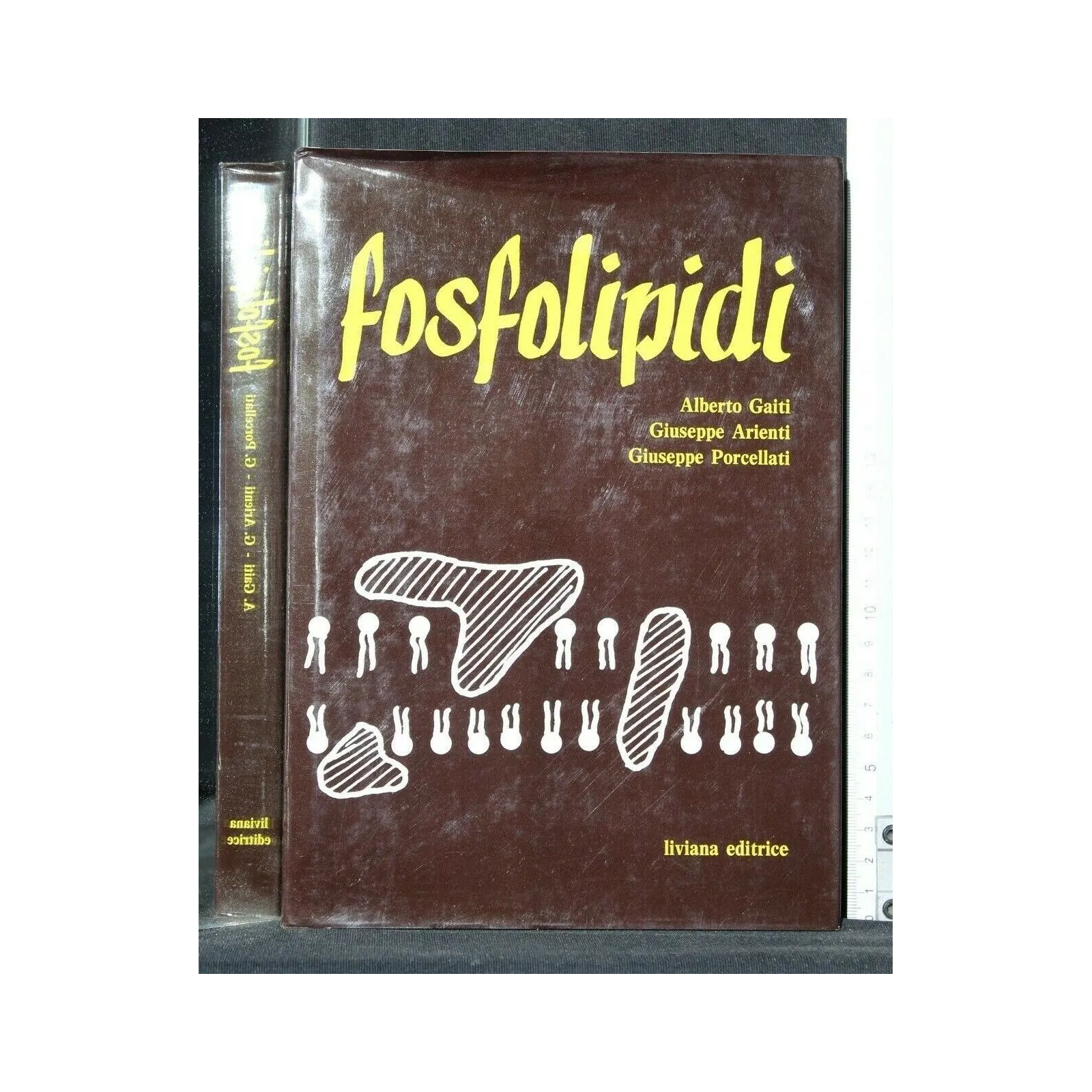 FOSFOLOPIDI