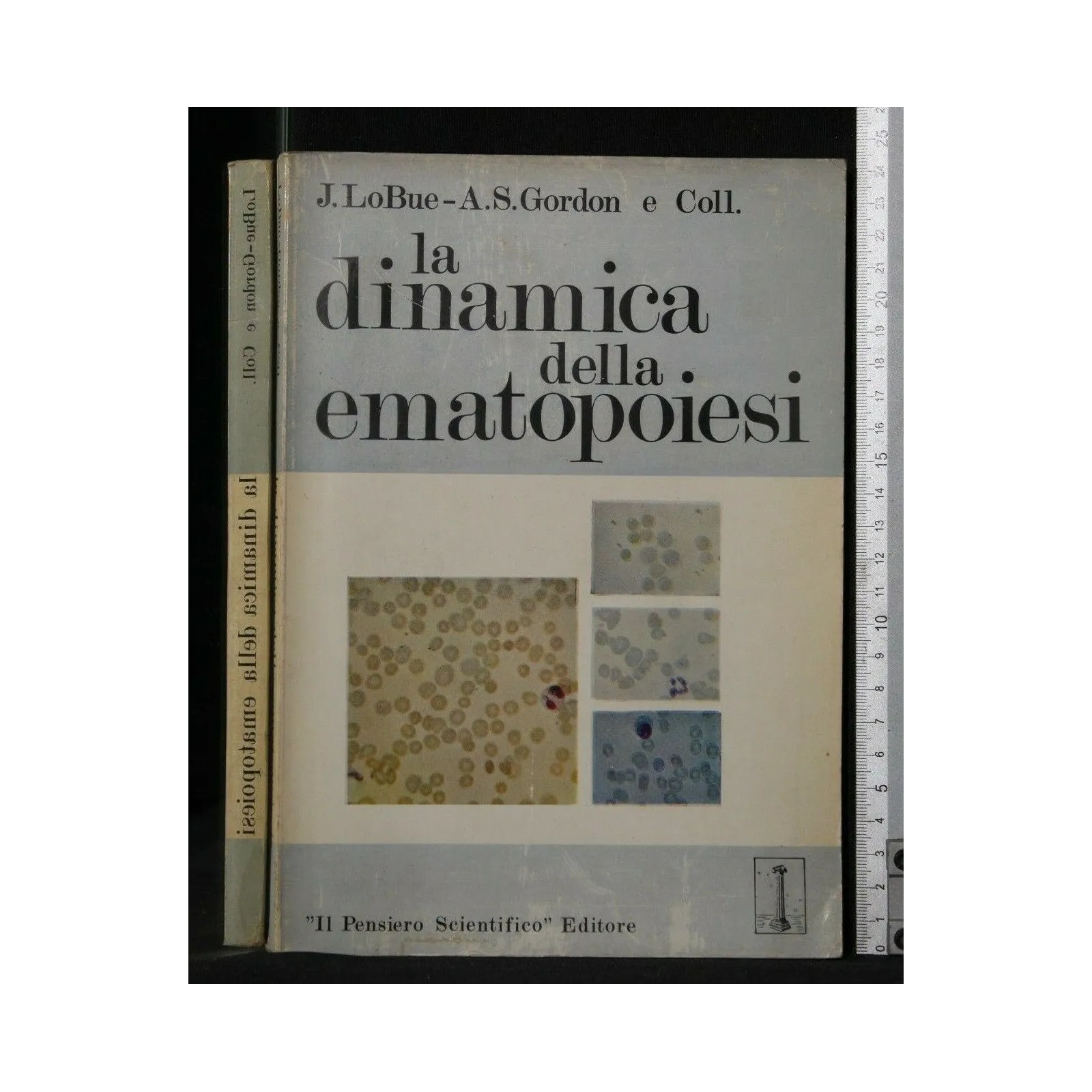 LA DINAMICA DELLA EMATOPOIESI