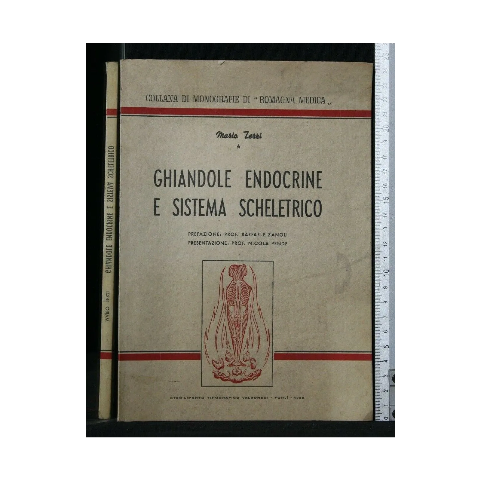 GHIANDOLE ENDOCRINE E SISTEMA SCHELETRICO