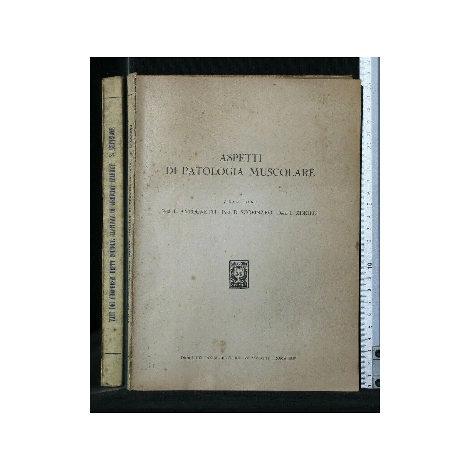 ASPETTI DI PATOLOGIA MUSCOLARE