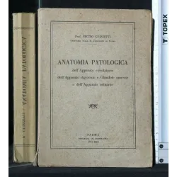 ANATOMIA PATOLOGICA DELL'APPARATIO CORCOLATORIO DELL'APPARATO