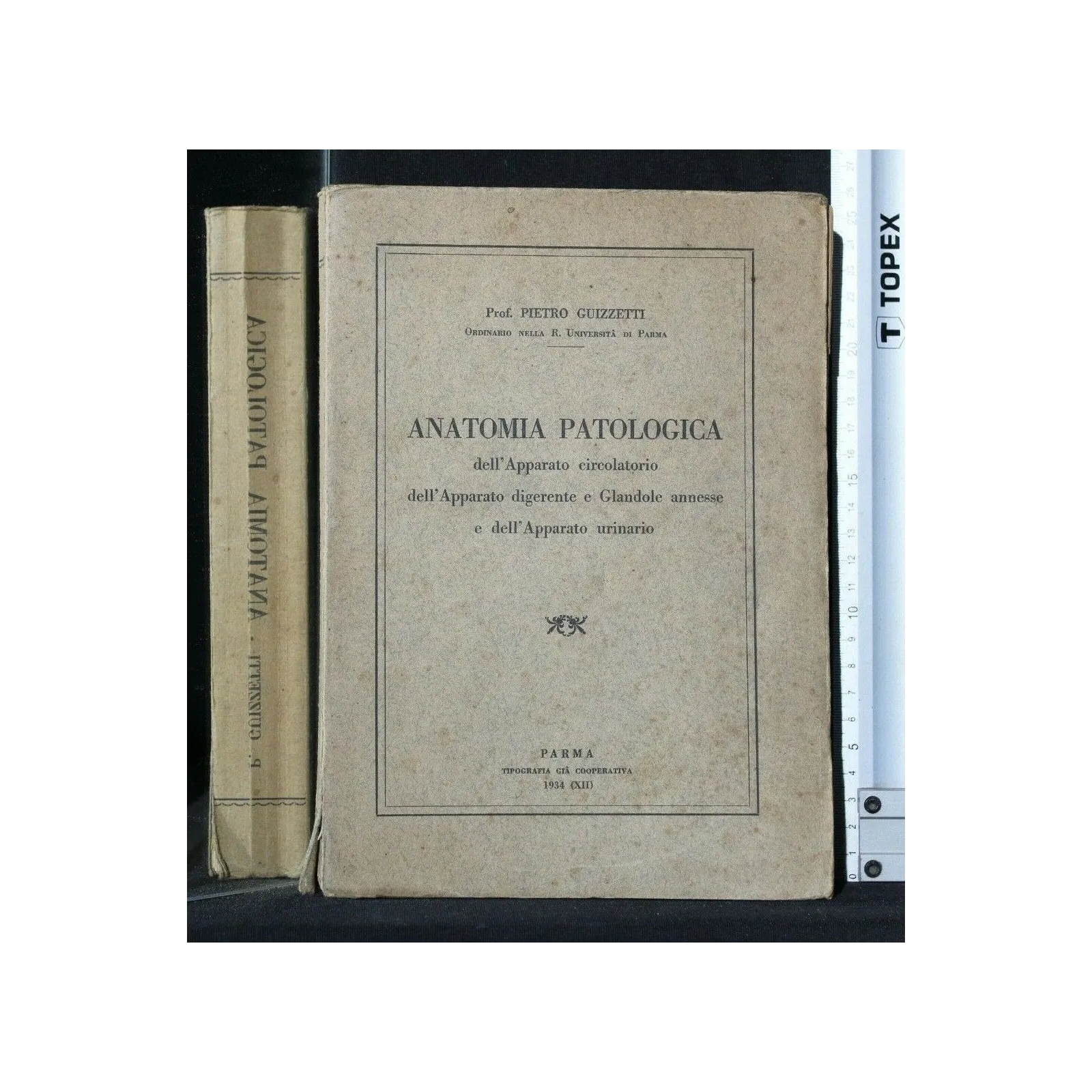 ANATOMIA PATOLOGICA DELL'APPARATIO CORCOLATORIO DELL'APPARATO