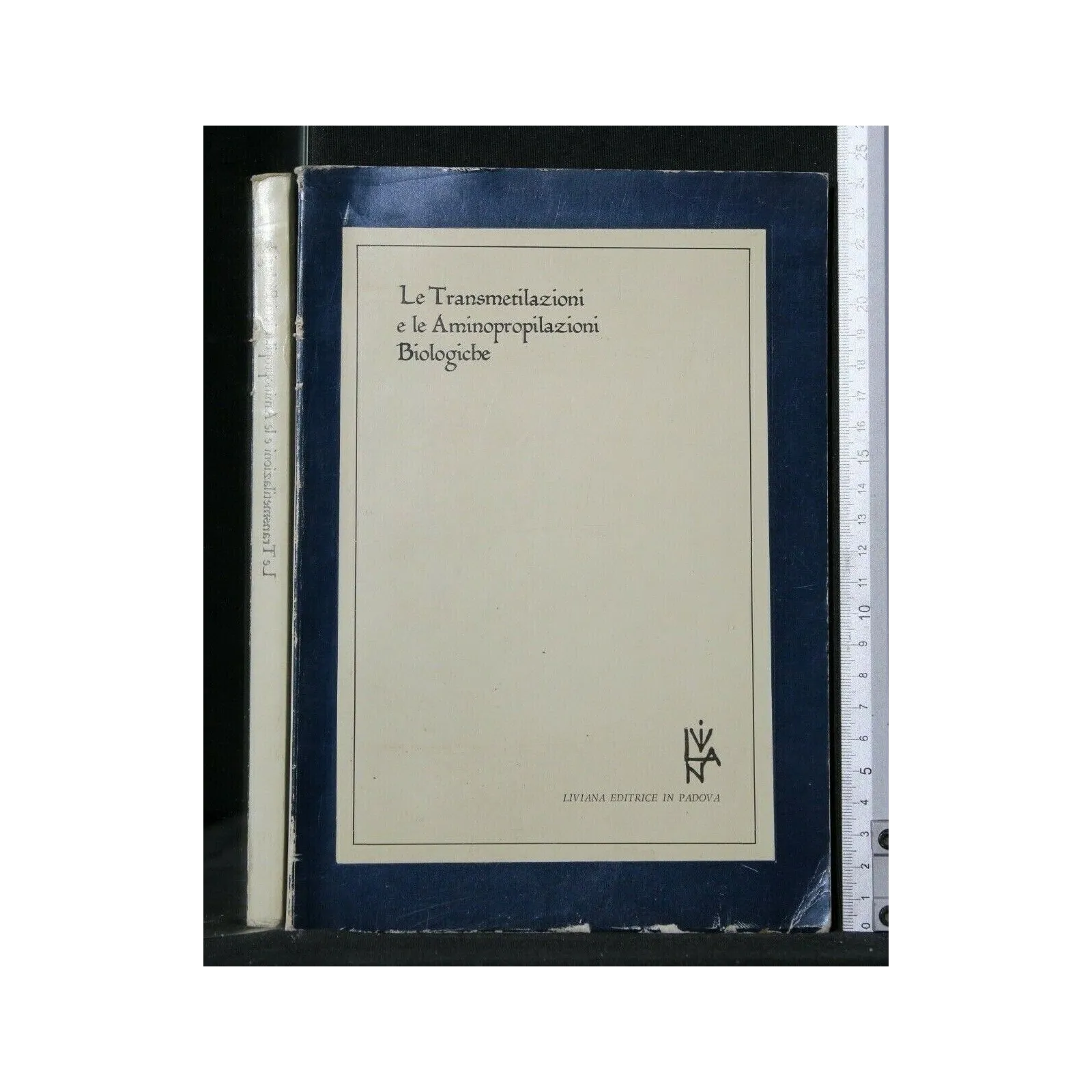 LE TRANSMETILAZIONI E LE AMINOPROPILAZIONI BIOLOGICHE