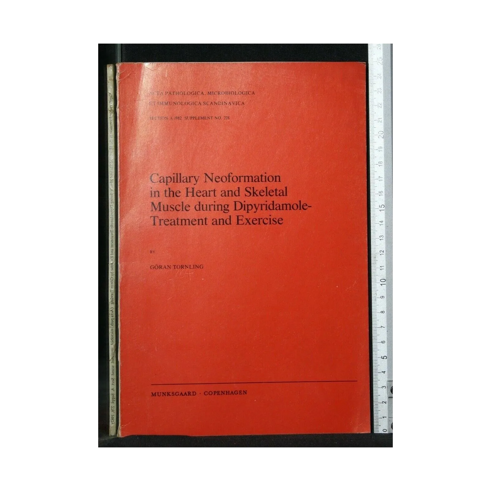 CAPILLARY NEOFORMATION IN THE HEART AND SKELETAL MUSCLE DURING