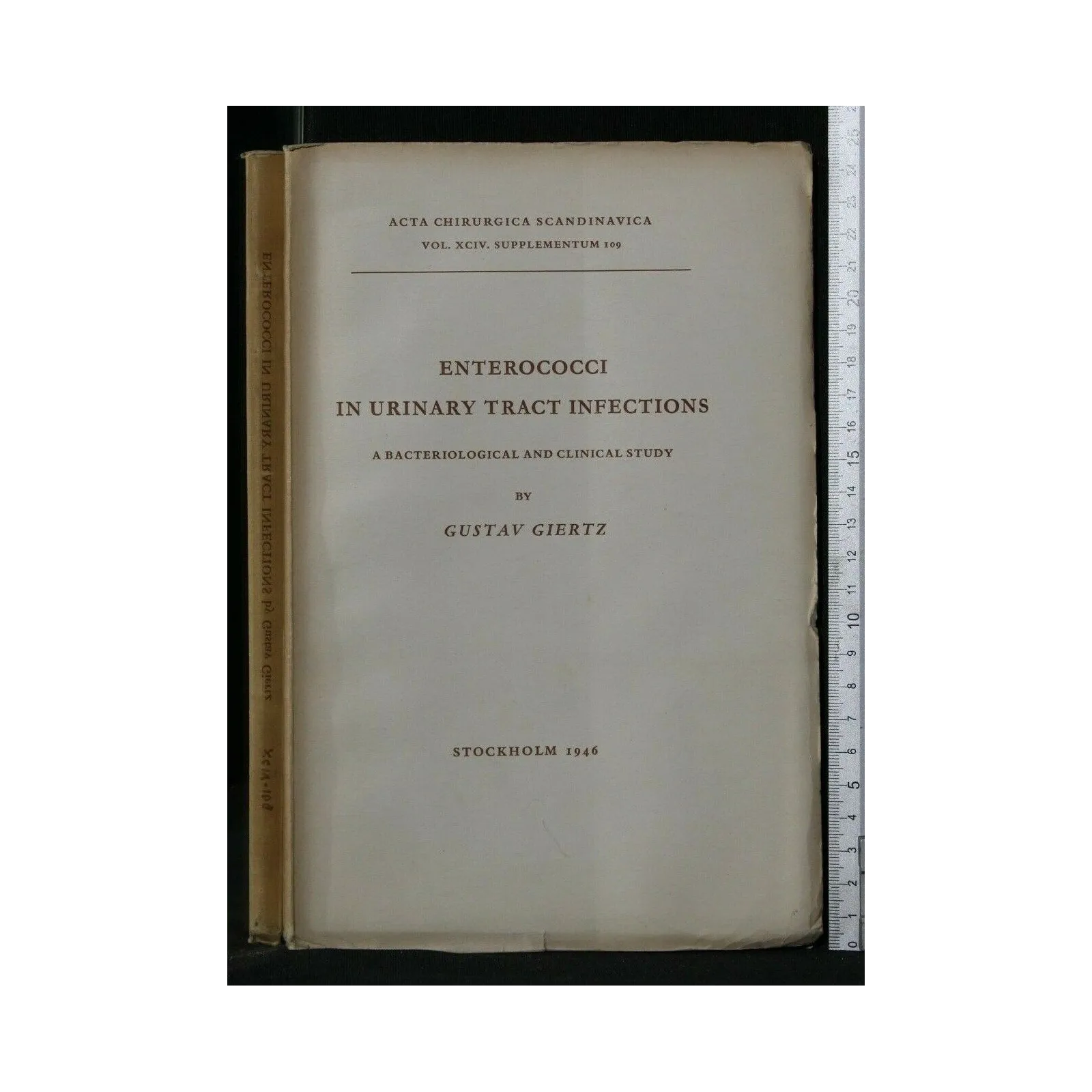 ENTEROCOCCI IN URINARY TRACT INFECTIONS