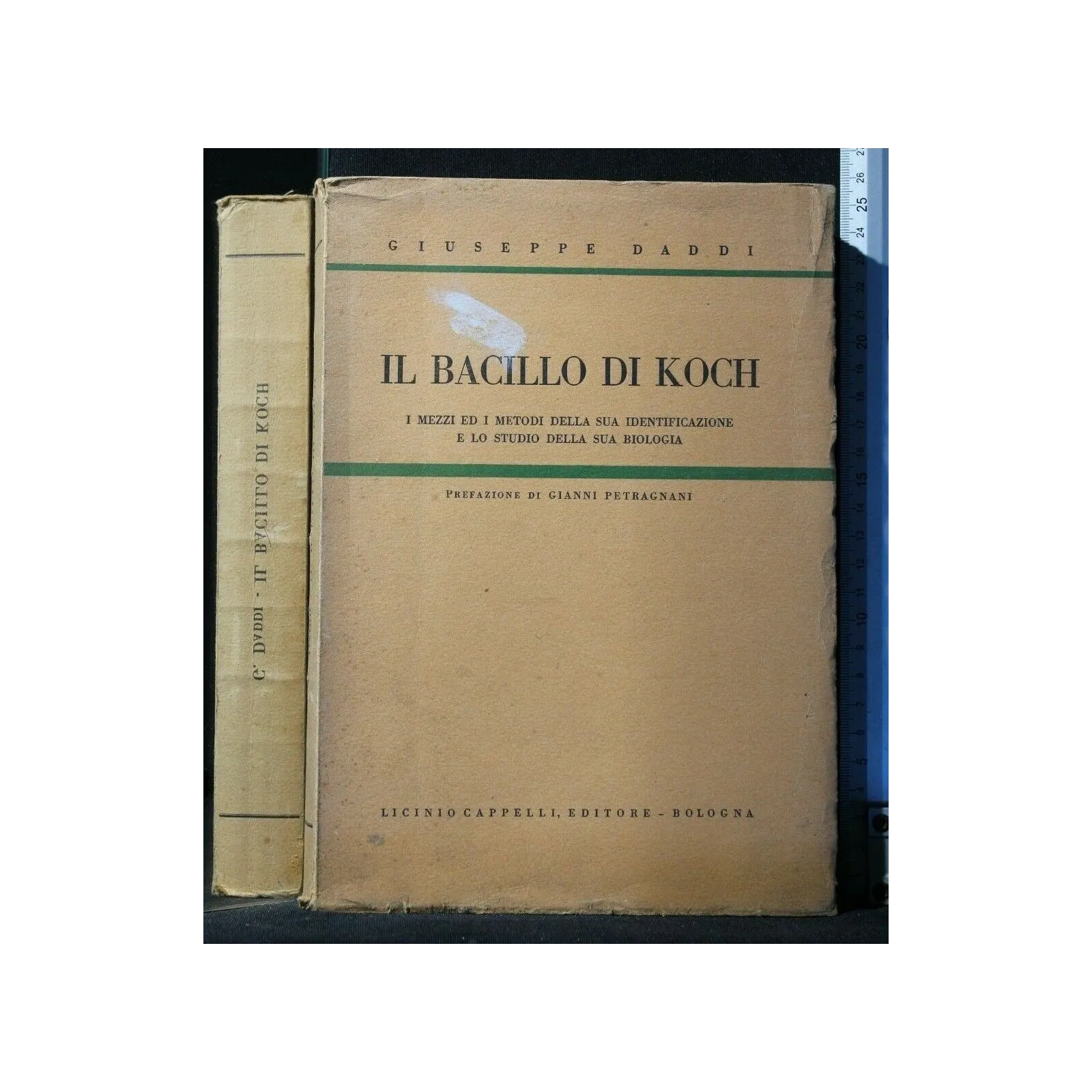 IL BACILLO DI KOCH
