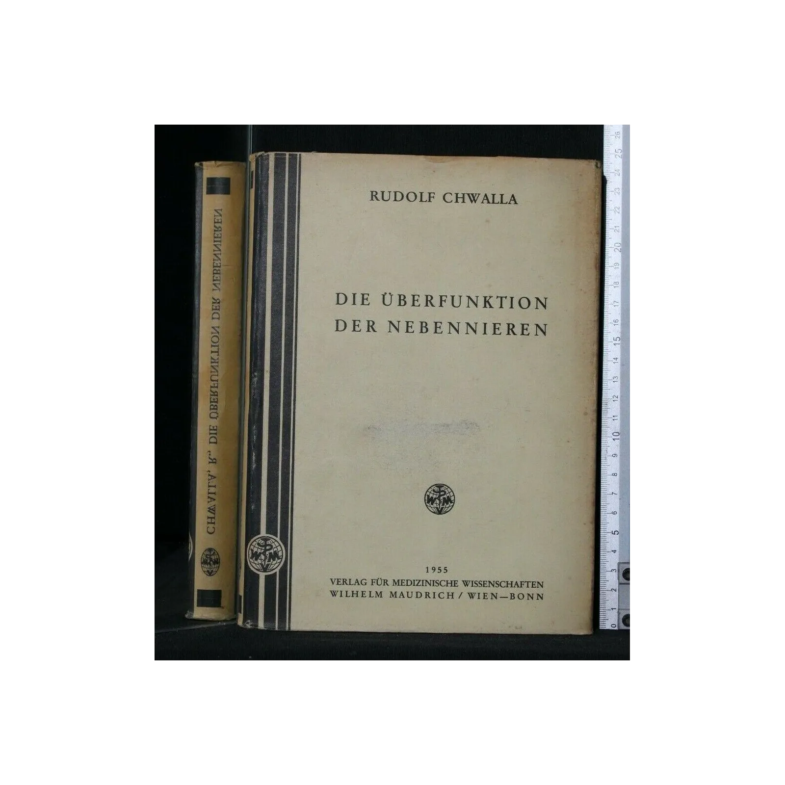 DIE UBERFUNKTION DER NEBENNIEREN