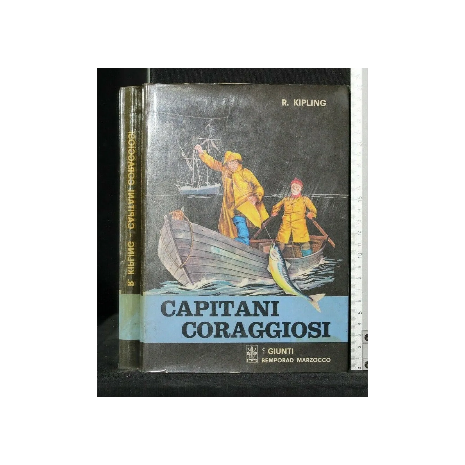 CAPITANI CORAGGIOSI