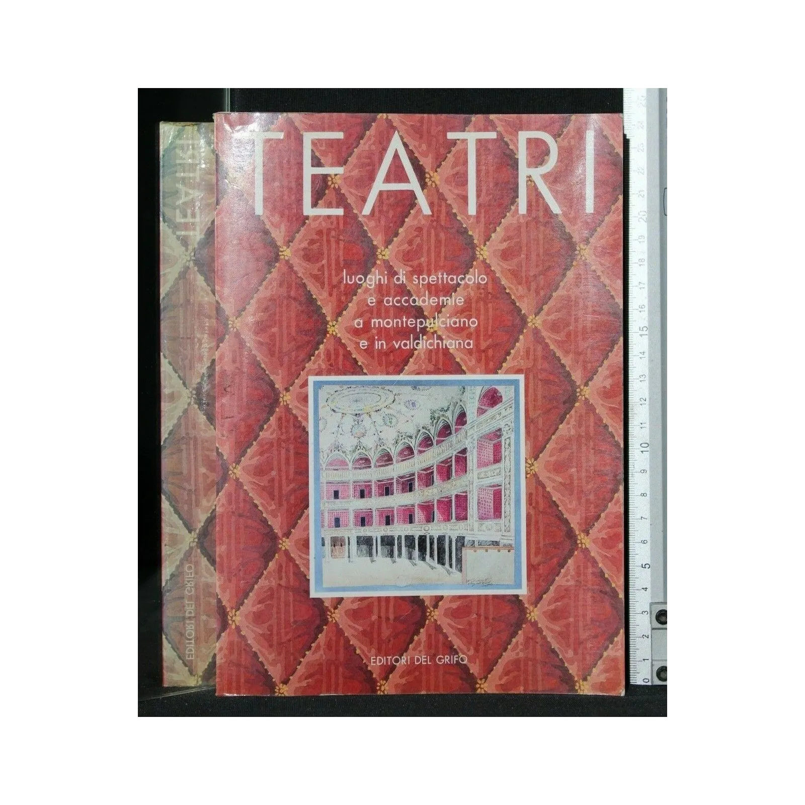 TEATRI LUOGHI DI SPETTACOLO E ACCADEMIE A MONTEPULCIANO E IN
