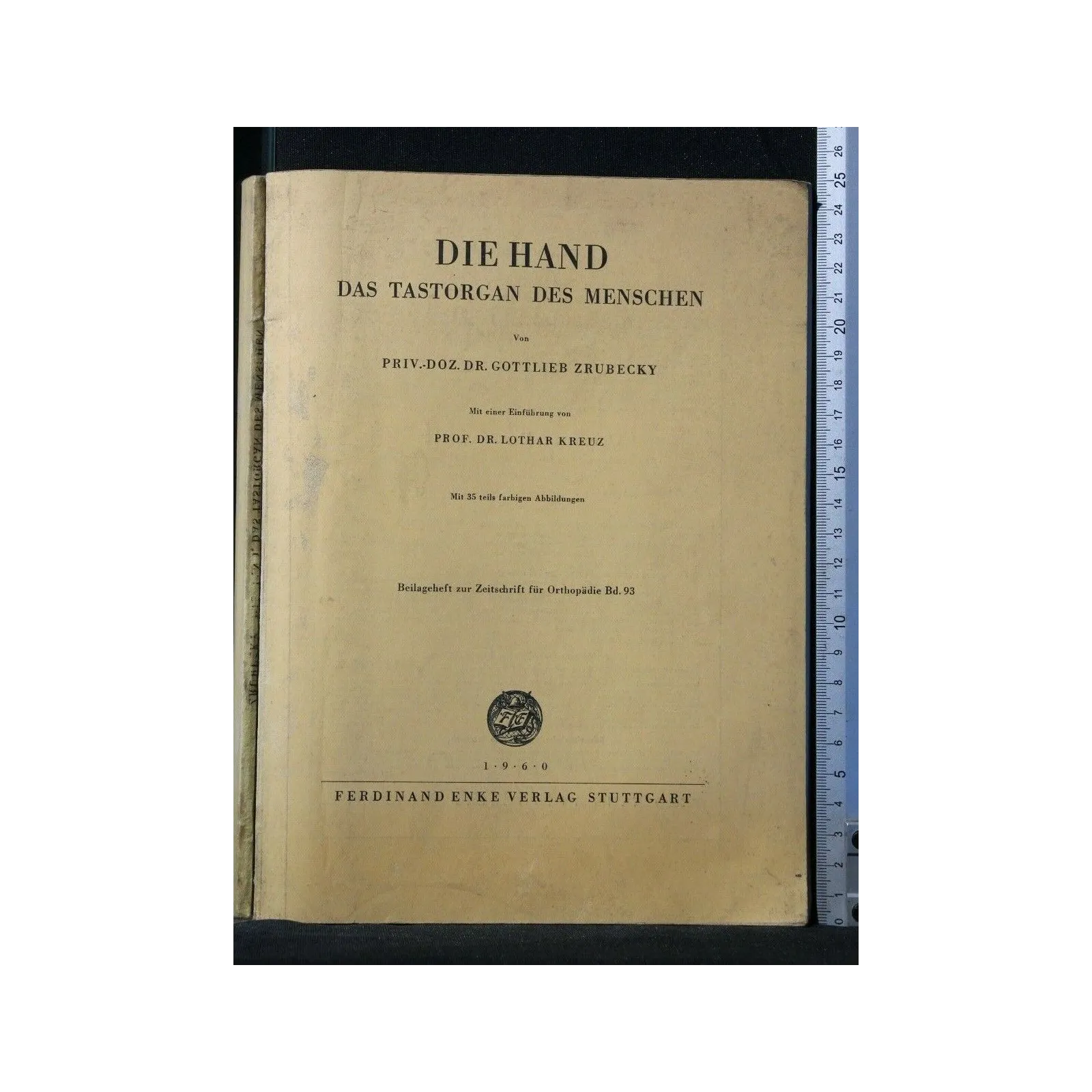 DIE HAND DAS TASTORGAN DES MENSCHEN