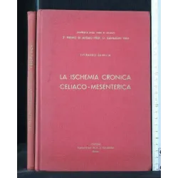 LA ISCHEMIA CRONICA CELIACO-MESENTERICA