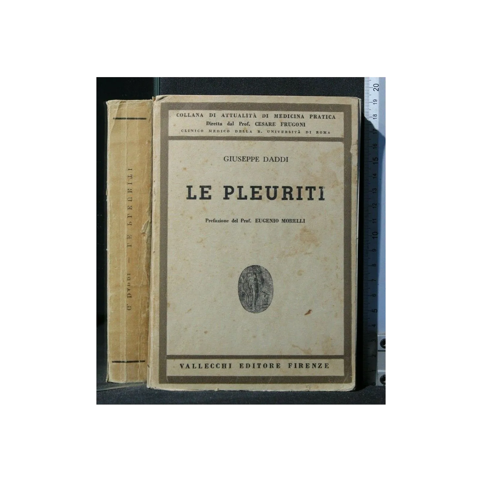 LE PLEURITI