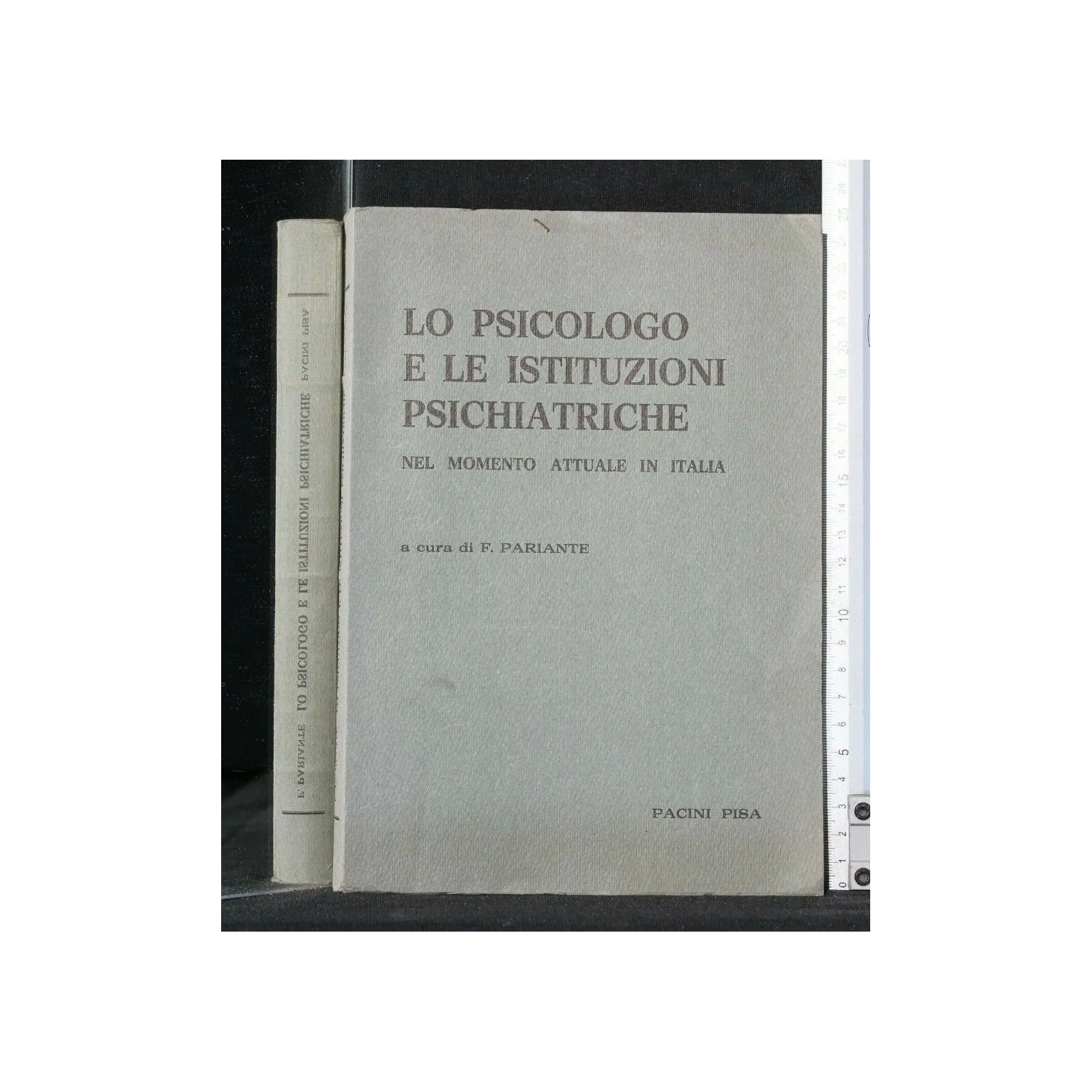 LO PSICOLOGO E LE ISTITUZIONI PSICHIATRICHE