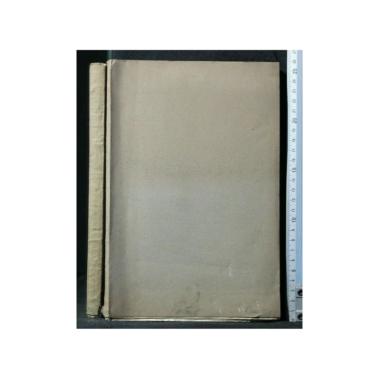 DIE EINWIRKUNG DER KRANKHEITEN AUF DIE ERWERBSFAHIGKEIT